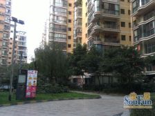 国际花园 2室1厅 东