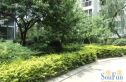 天府江南实景图