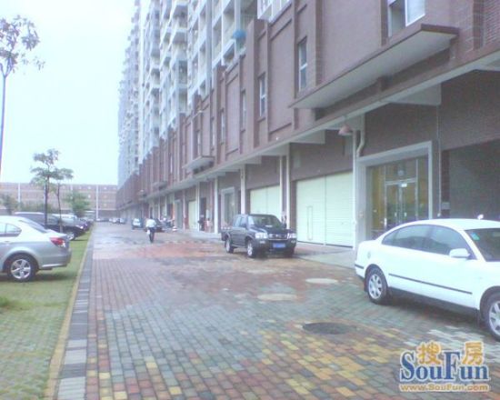 甲壳虫之家实景图