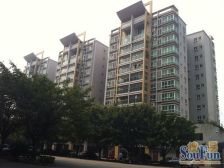 房子户型方正, 朝花园,大阳台,大客厅户型