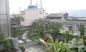 川大新南村2室1厅西南南