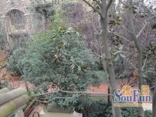 大竹林 龙湖江与城熙溪地四房245万