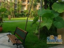 大竹林 龙湖江与城熙溪地三房151万