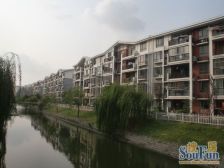 大虹桥,双轨交,南北通精装修两房拎包入住