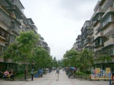 鸳鸯 花朝小区二房38万