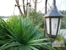 大端户200多平花园 看湖 约克郡品质 配套齐全