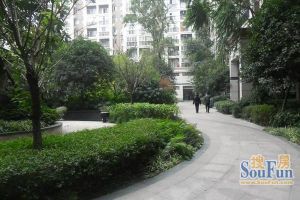 美丽南庭3室2厅北