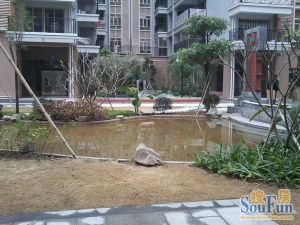 嘉俊雅苑 电梯房 小区管理 配套成熟