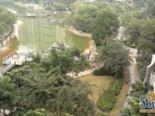 东田翠湖湾跃式大户4房4卫坐看常平一级风景