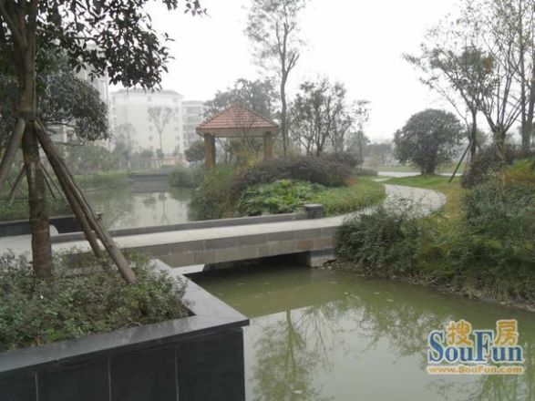 翰林上岛实景图