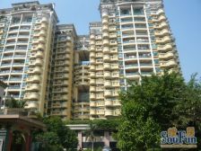 飞龙山庄 5室2厅 东