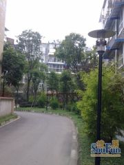 鹃城印象2室1厅东南