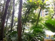 精装1房,近地铁,环境舒适,安静.