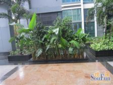 荣和东盟国际 复式楼中楼 精装修 拎包入住