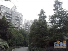 诺金山 4室2厅 南