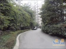 诺金山 3室2厅 西南