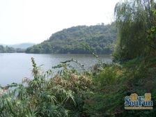 一线临江别墅,直看礼嘉滨江公园