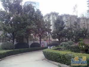 单位宿舍 电梯房 小高层 质量好 停车方便 大三房