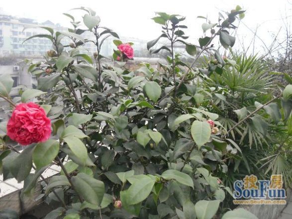 边防部队宿舍实景图