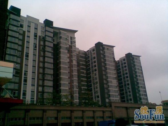 黄旗印象商住楼实景图