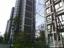 品质小区,高区采光视野好,不靠马路,价可谈