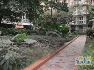 莲花新区3室2厅东南