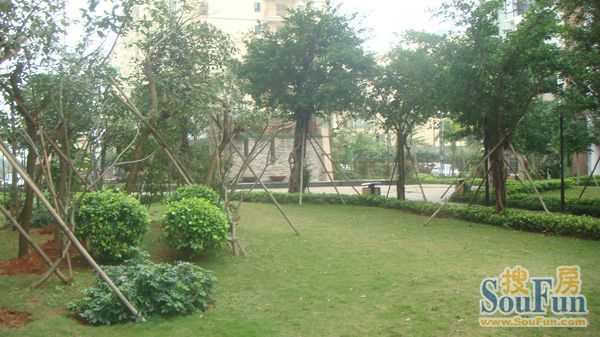 阳光百和实景图
