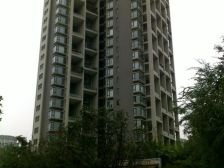 春天大道 3室1厅 南 北