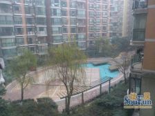 国际花园 3室1厅 南