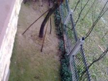 首钢联排,清水中户,小区环境好,业主诚心出售