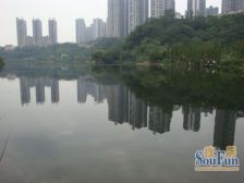 彩云湖别墅 外圈带150平花园 私密性好 采光好 正看湖