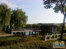 电梯房 现场实勘 必看好房