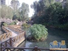 春天大道 3室1厅 南