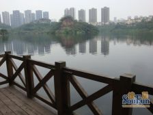 彩云湖别墅 双拼 带地下室带花园