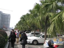 高新区 百康年奥运光年二房45万