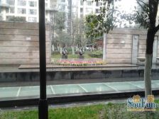 中海翠屏湾 3室2厅 西