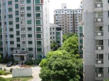 上海阳城 3室2厅 南 北