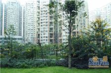 蜀都花园 2室1厅 南