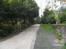 皇后国际 2室1厅 东 东南