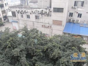 新世纪家园3室2厅西南南