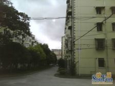 东一小区3室南朝向350.00万元/套出售