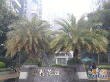 千灯湖 保利花园复式4房南向 仅售346万