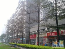 保利花园4房。视野好,安静,房子配套成熟,近地铁