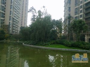 丽晶港3室1厅东南