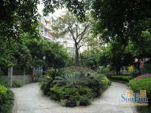 黄金海岸3室2厅南