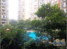 国际花园 2室1厅 东