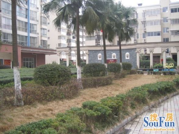 罗马花园实景图