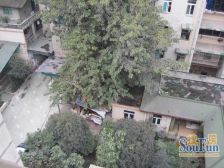 祥瑞苑 3室2厅 东