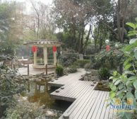 莲花新区5室2厅西南