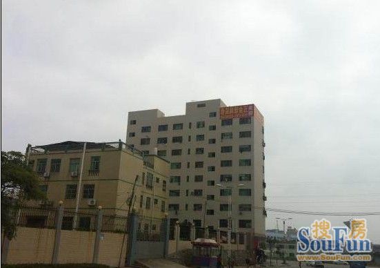 供销社宿舍楼（凤岗）实景图